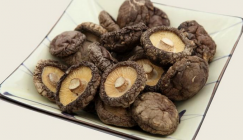 The skills in dried Shiitake selection