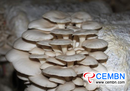 图片9