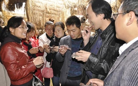 图片3