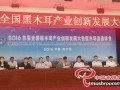 “The First National Innovation and Development Conference of Black Fungus Industry” was inaugurated