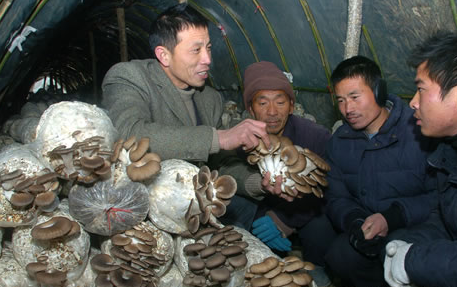 图片6