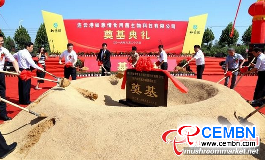 图片17