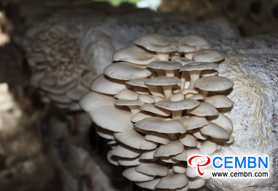 图片6