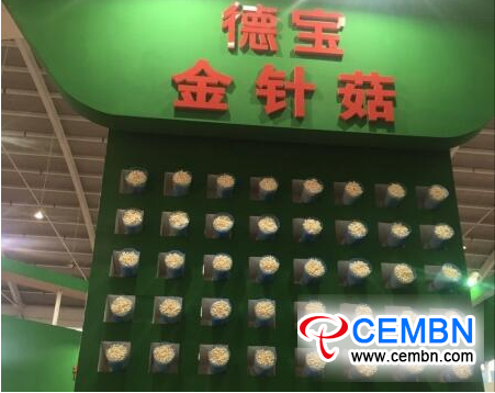 图片5