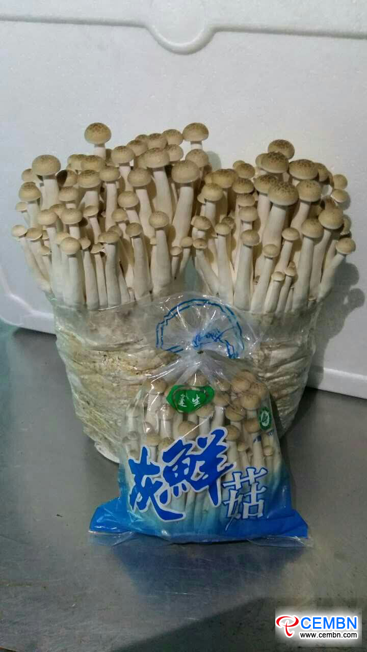 图片5