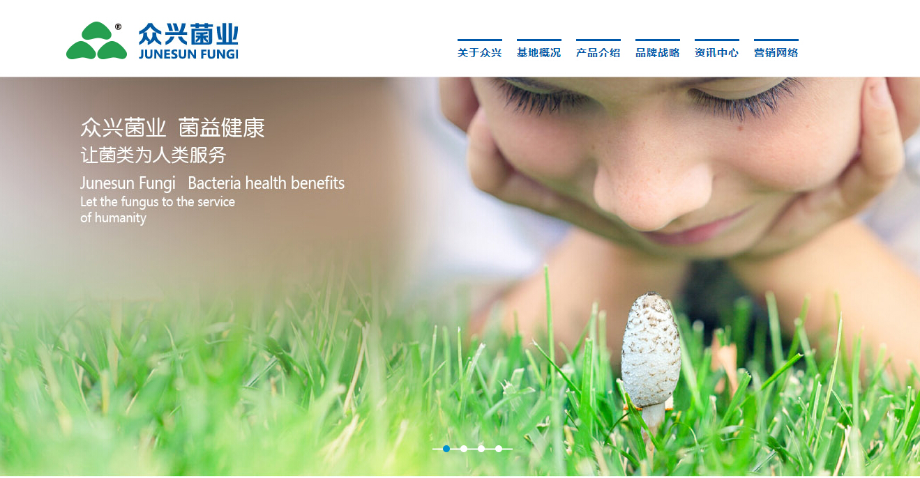 Tianshui Zhongxing Mushroom Technology Limited Liability Company