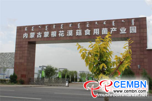 图片7