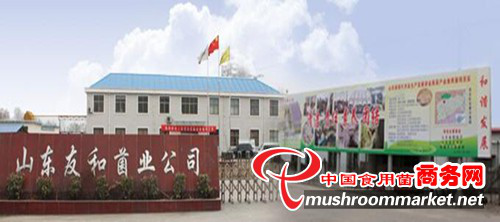图片7