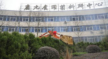 图片6