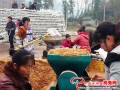 Utilize winter fallow to develop the production of bag-shiitake