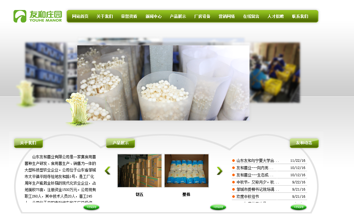 Shandong Youhe Mushroom Co., LTD