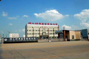 图片11