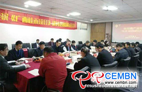 图片11