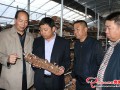 The investigation work of 2017 International Mushroom Expo has been accomplished