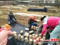 The technical service team guides villagers to cultivate Black fungi