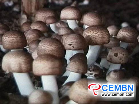 图片9