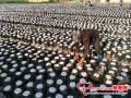 The picking work of Black fungus is fiercely carried through