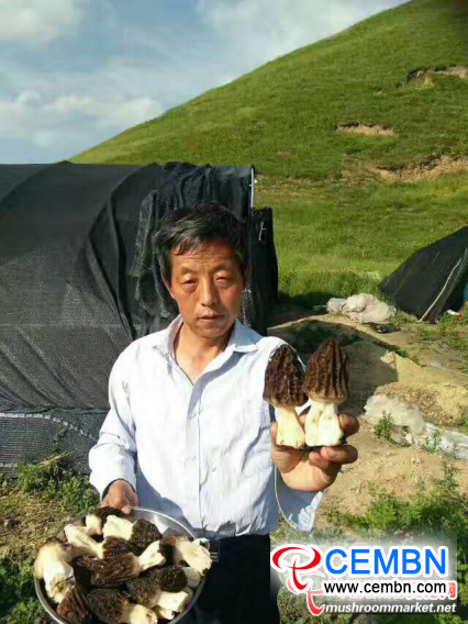 图片14
