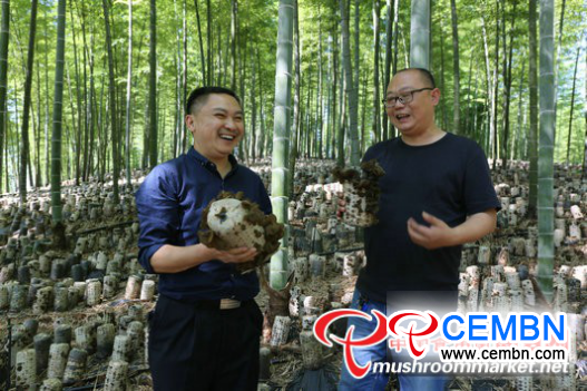 图片6