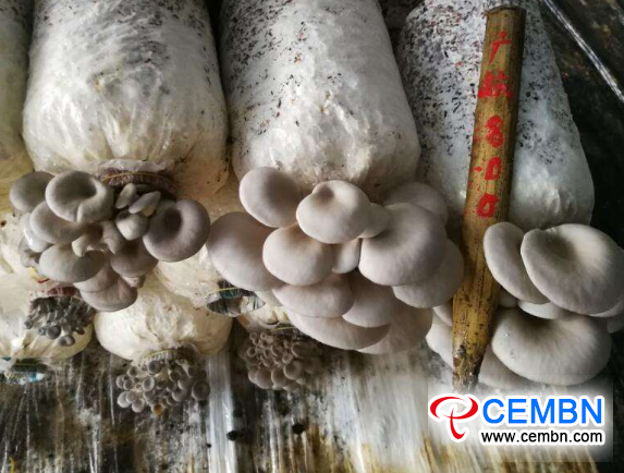 图片5