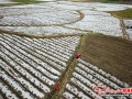 Film-covering mode of mushroom cultivation fevers