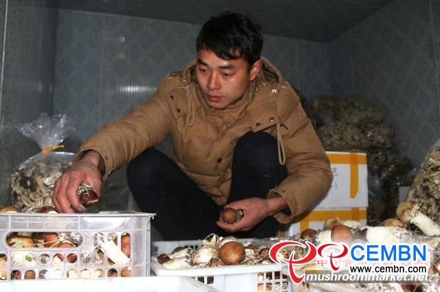 图片3