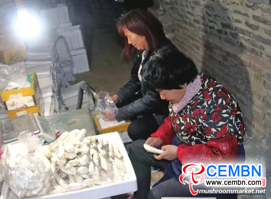 图片5