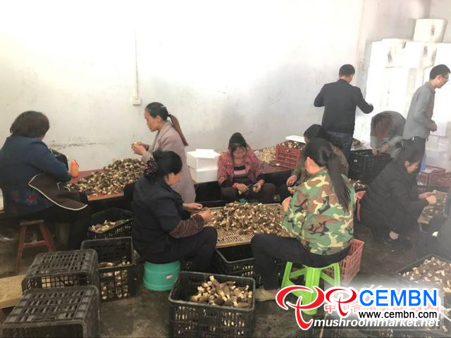 图片4