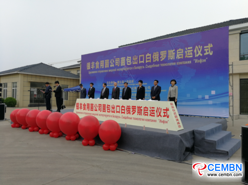 图片11