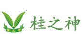 Guangdong Guizhishen Industrial Limited Liability Company