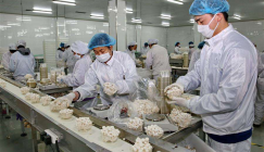 2016 China's Mushroom Factory Development Report