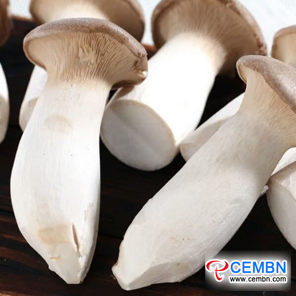 图片8