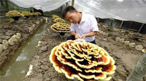 图片 1
